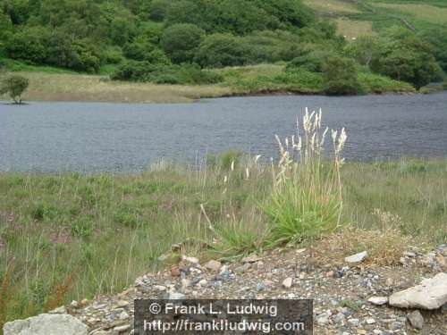 Lough Dunlewy